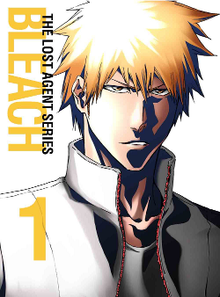 Fullbringer, Bleach Wiki