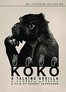 Koko: A Talking Gorilla - Wikipedia