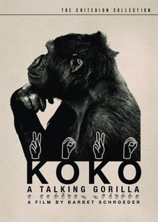 <i>Koko: A Talking Gorilla</i> 1978 French film