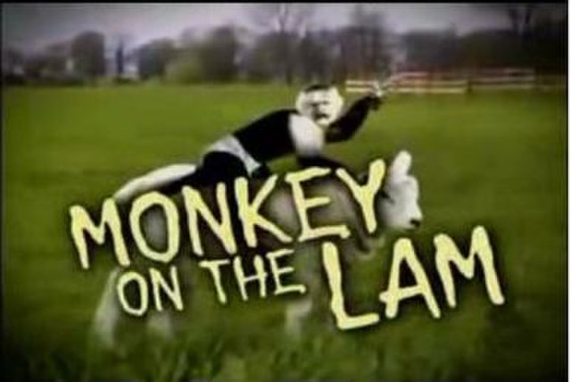 The opening graphic of Monkey on the Lam