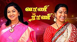 Vani Rani Sun TV Serial.jpg