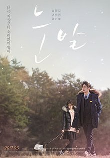 A Stray Goat (눈발)-poster.jpg