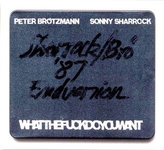 <i>Whatthefuckdoyouwant</i> 2014 live album by Peter Brötzmann and Sonny Sharrock