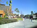 Cal State LA's administration building in the left side