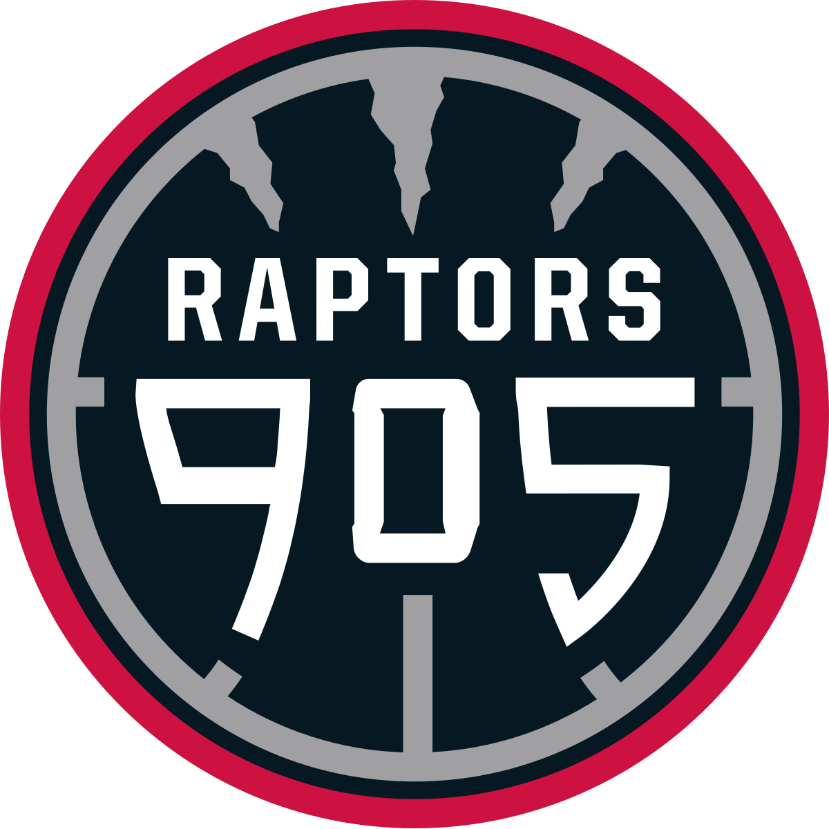 Toronto Raptors NBA Vector SVG, Toronto Raptors Basketball