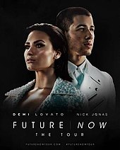 Demi Lovato Future-now.jpeg