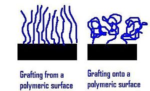 The two methods of co-polymer grafting. Notice the difference in density of polymer chains, the equilibrium conformation of polymer molecules in solution gives the "mushroom" regime shown for the grafting-onto method. Graftingcopolymer.jpeg