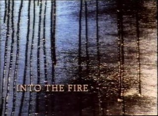 <i>Into the Fire</i> (TV series) British TV series or programme