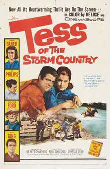 Fırtına Ülkesinin Tess'i (1960 film) poster.jpg