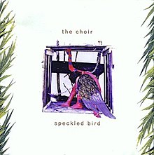 Choir-SpeckledBird-Alternate.jpeg