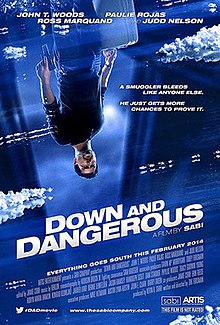 Down and Dangerous poster.jpg