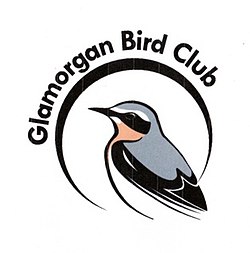 Логотип Glamorgan Bird Club (с 2018) .jpeg