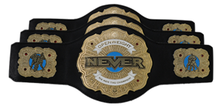 NEVER Openweight 6-Man Tag Team Championship Professional wrestling trios tag team championship