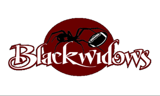 <span class="mw-page-title-main">Ventura Black Widows</span> American womens tackle football team