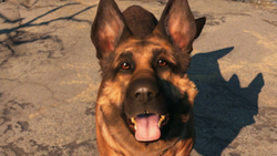 Fallout 4.png içinde köpek eti
