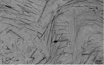 SEM images displaying the different orientations of goethite fibers (black) due to the chitin matrix (gray) Goethite fibers.png