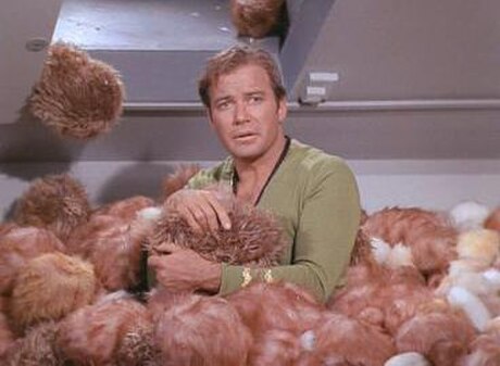 The Trouble with Tribbles