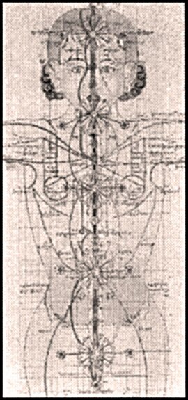 A drawing from the Blue Beryl illustrating the Tibetan Buddhist view of the chakras (rsta-khor) and sushumna (dbu-ma).