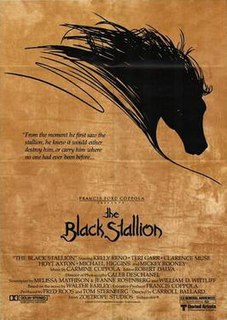 <i>The Black Stallion</i> (film) 1979 film by Carroll Ballard