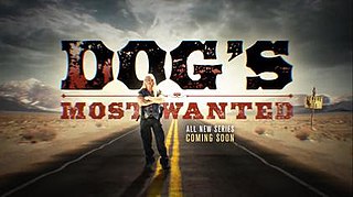 <i>Dogs Most Wanted</i> American reality television series