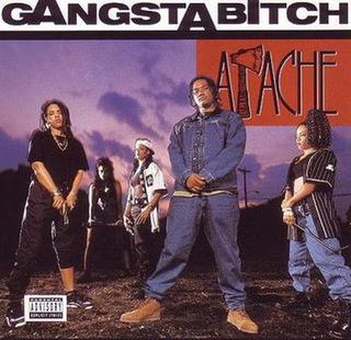 <span class="mw-page-title-main">Gangsta Bitch</span> 1993 single by Apache