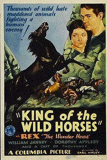 King of the Wild Horses (1933 film).jpg