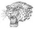 Thumbnail for File:Panther Logo Snarl.jpg