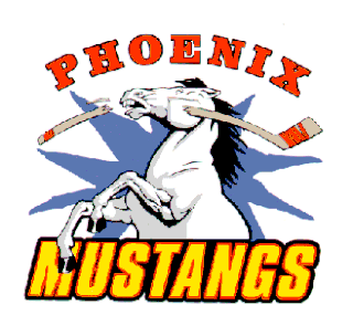 <span class="mw-page-title-main">Phoenix Mustangs</span> Professional minor league ice hockey team