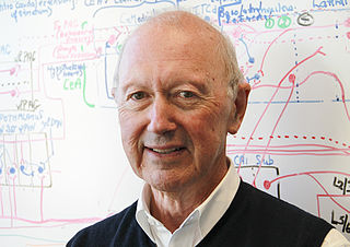 <span class="mw-page-title-main">Max Bennett (scientist)</span> Australian neuroscientist (born 1939)