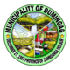 Oficjalna pieczęć Dumingag