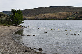 <span class="mw-page-title-main">Bridgeport State Park</span> State park in Washington State, United States