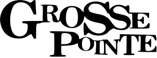 <i>Grosse Pointe</i> (TV series) American sitcom television series