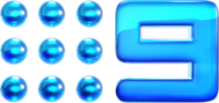 Neun2012 Glossed Logo.png