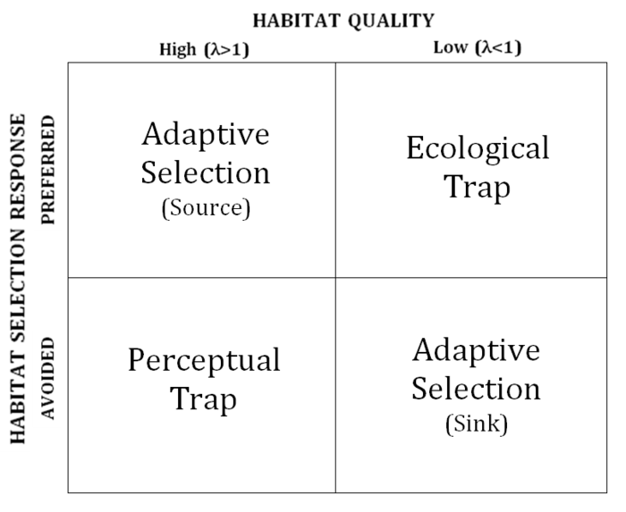 Conceptual representation (2x2 table) of sources and sinks, ecological traps, and perceptual traps. Adapted from Patten and Kelly (2010) Perceptual Trap.png