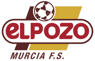 <span class="mw-page-title-main">ElPozo Murcia FS</span> Spanish futsal club