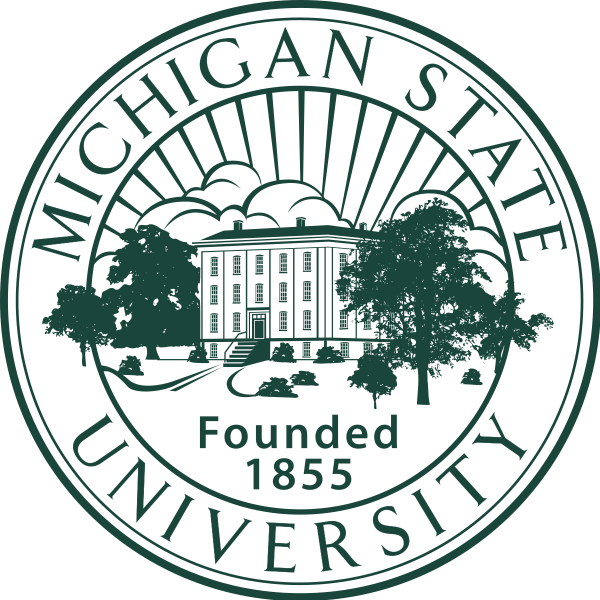 Image result for michigan state university