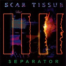Scar Tissue - Separator.jpg