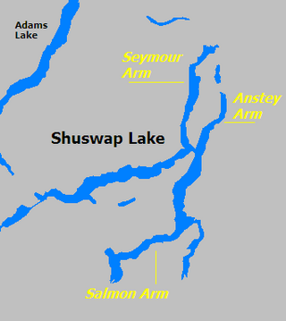 <span class="mw-page-title-main">Arm (geography)</span> Narrow extension of water extending out from a much larger body of water