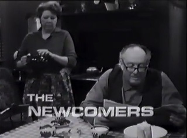 The Newcomers (TV series)