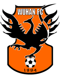 Wuhan Optics Valley F.C. Chinese football club