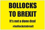 Thumbnail for Bollocks to Brexit