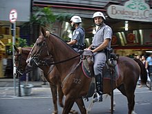Regimento de Cavalaria 9 de Julho on patrol. Cavalos em Sampa.JPG