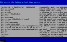 DSL boot options, called cheat codes DSL 4.0 cheatcodes F2.png