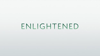 <i>Enlightened</i> (TV series) American comedy-drama television series