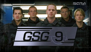 <i>GSG 9 – Ihr Einsatz ist ihr Leben</i> German TV series or program