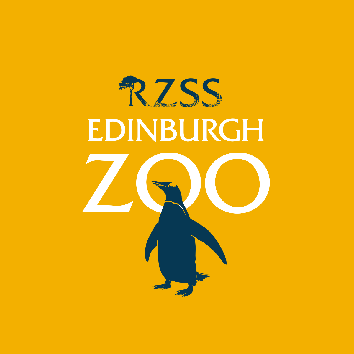 Edinburgh Zoo - Wikipedia