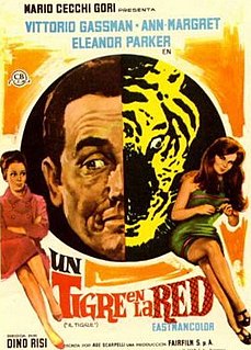 <i>The Tiger and the Pussycat</i> 1967 film by Dino Risi