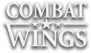 <i>Combat Wings</i> World War II-based combat flight simulation game series