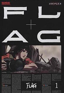 FLAG DVD cover.jpg