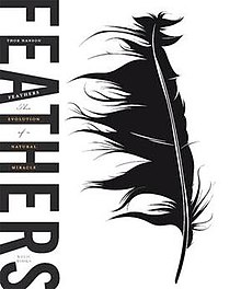 Feathers book cover.jpeg